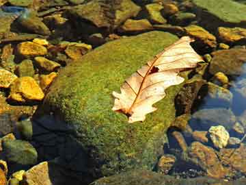紅島地鐵招聘信息最新，紅島地鐵最新招聘公告